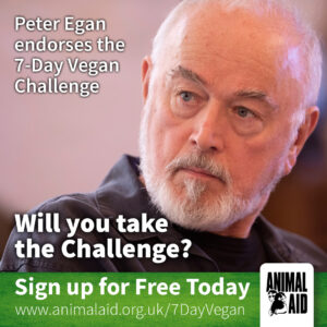 These celebrities have lent their support to the 7-Day Vegan Challenge!