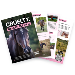 Cruelty. You Can Bet On It (A5 leaflet)