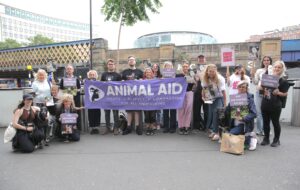 London peaceful demo