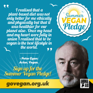  Celebrities share why they went vegan.