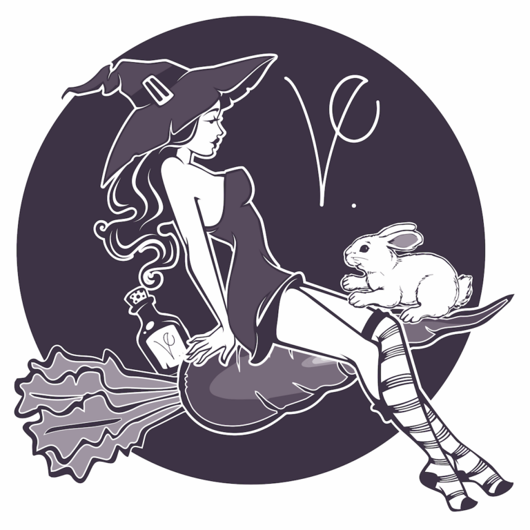 The logo for VE Cosmetics shows a witch and a white rabbit flying through the air on a broom