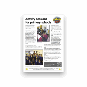 Activity sessions for primary schools (A4 factsheet)