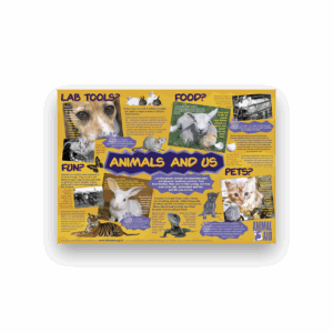 Animals and us (A2 poster)