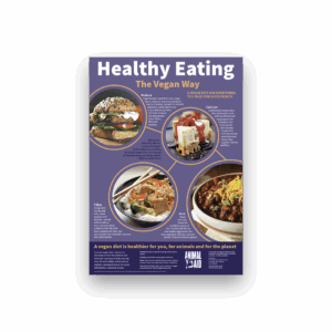 Healthy eating: the vegan way (A2 poster)