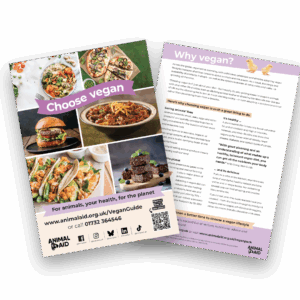 Choose Vegan (A5 leaflet)
