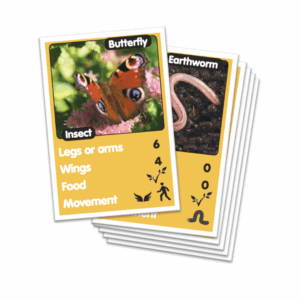 AnimalKind Lesson 1 - Animal Cards set 1