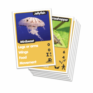 AnimalKind Lesson 1 - Animal Cards set 2