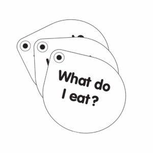 AnimalKind Lesson 3 - Key Questions Keyrings