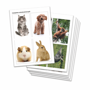 AnimalKind Lesson 3 - Laminated Animal Pictures
