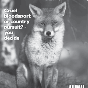 The Hunting Act Student Activity (A4 photocopy)