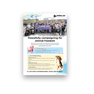 Peacefully Campaigning for Animal Freedom (A4 factsheet)