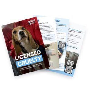Licensed Cruelty (A5 Leaflet)