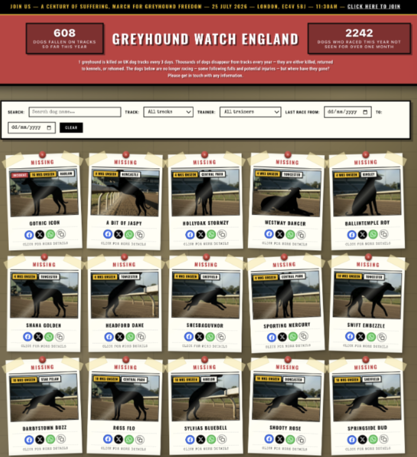 greyhound watch visual