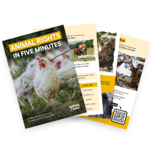 Animal Rights in 5 Minutes